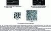 Figure 14 - Illustration of an atomic-scale writing process (after [35])