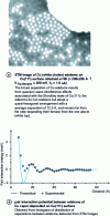 Figure 28 - Separation of isolated adatoms by long-range repulsive interactions (after [73])