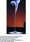 Figure 1 - Air convection created by a point source of heat