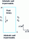 Figure 16 - Thermosolutal natural convection: schematic diagram
