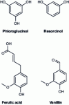 Figure 43 - Structures of some common biophenols