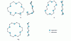 Figure 3 - Solid-state conformations of 18C6 (orthogonal views)