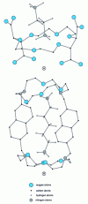 Figure 4 - Interaction site complementarity and linear recognition: primary ammonium cation complexes with (a) bistartro-18C6  and (b) a cylindrical cryptand 