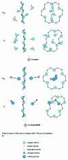 Figure 5 - Crown ether 18C6 in solution in water and acetonitrile