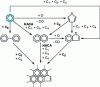 Figure 15 - Reaction diagram of the three main PAH formation processes: C5 pathway, HACA mechanism, reaction between aromatic rings (from [23][24])