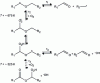 Figure 18 - Simplified oxidation reaction scheme for diethyl ether