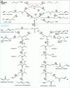 Figure 9 - Reaction diagram for the oxidation of higher hydrocarbons (three or more carbon atoms)