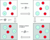 Figure 4 - Cycle for determining the Born solvation term, comprising ion discharge in a vacuum and recharging in a continuous dielectric medium.