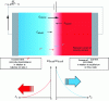 Figure 12 - Polarized pn junction