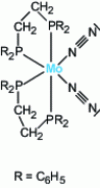 Figure 2 - Representation of the molecule [Mo (diphos)2(N2)2] describing the fixation of dinitrogen by the non-binding doublet of nitrogen.