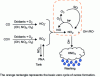 Figure 1 - Simplified diagram of ozone formation in a pollution context