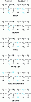 Figure 12 - Allocation strategy on a doubly-labeled 15N and 13C protein