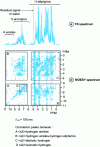 Figure 6 - Homonuclear spectrum of the C-terminal domain of a calcium carrier protein (CaVP, 80 amino acids) (from [6])