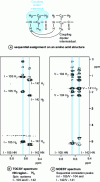 Figure 8 - Sequential allocation on CaVP (according to [6])