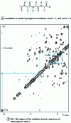 Figure 9 - Hydrogen correlations corresponding to the secondary helix structures  of a 147-amino-acid protein involved in the deformylation of bacterial polypeptides (from [8])