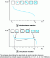 Figure 2 - Illustration of the variation in equilibrium potentials of a half-battery for a single-phase (a) and two-phase (b) reaction.