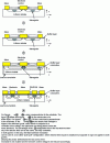 Figure 10 - Different electrode and guide architectures for lithium niobate-based Mach-Zehnder modulators (after [5])