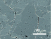 Figure 21 - Abnormal magnification during calcium carbonate sintering (700 °C, 15 h, 0.5 % Li3PO4 , 4 kPa C02)