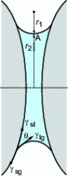 Figure 7 - Representation of a liquid meniscus formed at the contact between two grains