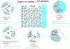 Figure 5 - Schematic representation of the different processes involved in an electrode reaction (here SOFC cathode) and the different parameters involved (after [41]).