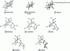 Figure 1 - Organochlorine insecticides derived from hexachlorocyclohexane