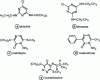 Figure 6 - Triazine-based herbicides