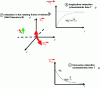 Figure 2 - Relaxation