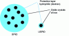 Figure 9 - Schematic representation of nanoparticles based on iron oxides