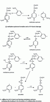 Figure 11 - Formation of methylene quinone and cleavage of α-O-4 and β-O-4 bonds