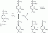 Figure 20 - Mechanism of sulfonation at the α-position of the lignin aromatic ring side chain during bisulfite baking