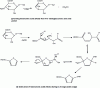 Figure 4 - Formation and destruction of hexenuronic acids (HexA)