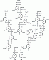 Figure 7 - Model of spruce lignin structure (after [12])