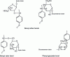 Figure 8 - The different types of lignin bond – hemicelluloses