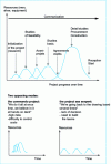 Figure 7 - Simplified stages in an industrialization project