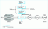 Figure 1 - Relationship between technology and the order chain, from customer to customer