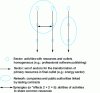 Figure 7 - Structure of a company's competitive field