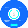 Figure 2 - Watch cycle