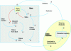 Figure 16 - Influence or causal diagram