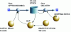 Figure 4 - Application of concepts: two flows (input/output) and one state variable