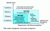 Figure 5 - Repository maturity levels