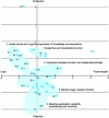 Figure 9 - Keyword scatter plot on Kansei