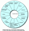 Figure 2 - Corporate image