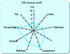 Figure 6 - Sensory profile in the form of a radar diagram, in which all the intensity scales attached to a sensory variable radiate from a minimum threshold.