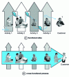 Figure 3 - Functional silos versus cross-functional processes