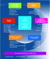 Figure 4 - Themes and research support instruments in ANR's scientific programming (source: ANR, 2012)