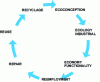 Figure 1 - Representation of the circular economy