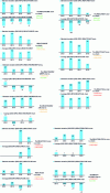 Figure 30 - Analysis of "consistency of payment terms" and "working capital financing" indicators for each chain