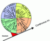 Figure 19 - The standard maintains the wheel of progress (PDCA)