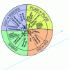 Figure 13 - The PDCA wheel