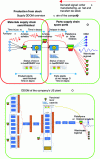 Figure 14 - Overview of a supply chain in make-to-stock mode with a production DDOM (Copyright 2017 Constraints Management Group, LLC)